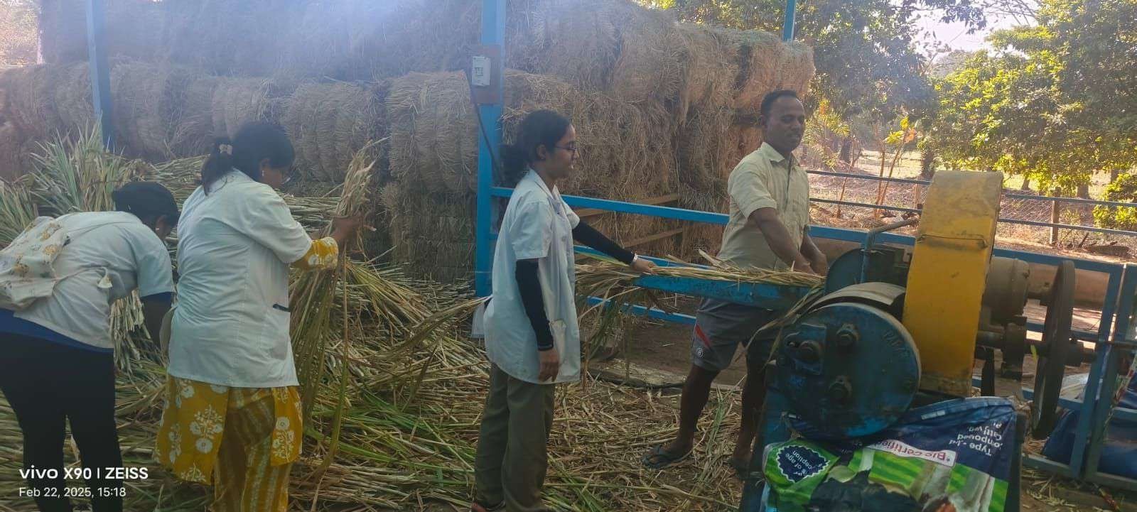 Farm Practice at NSS 2025